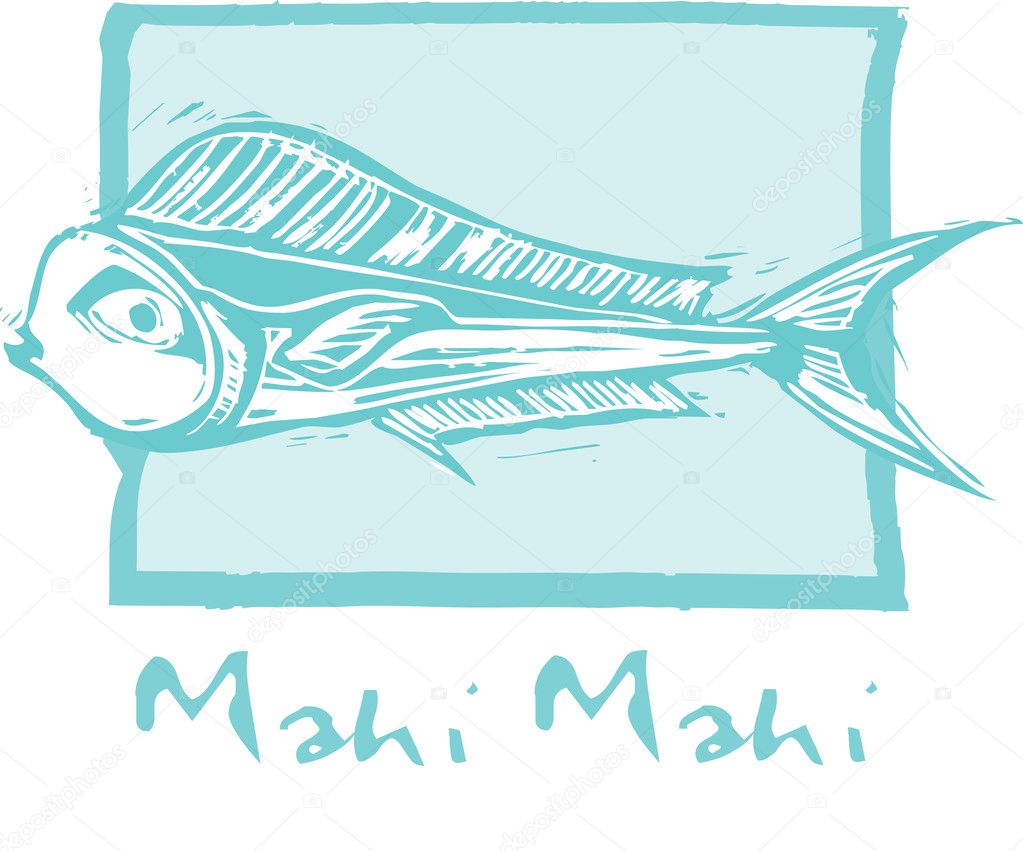 Mahi Mahi Fish in blue