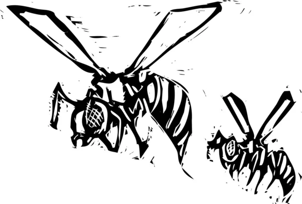 Iki Yaban arıları — Stok Vektör
