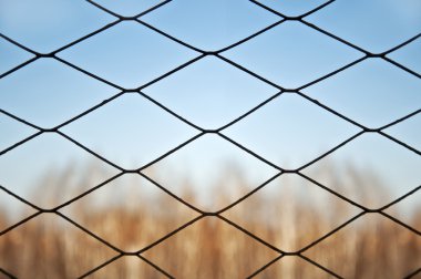 Autumn landscape for the small lattice fence clipart