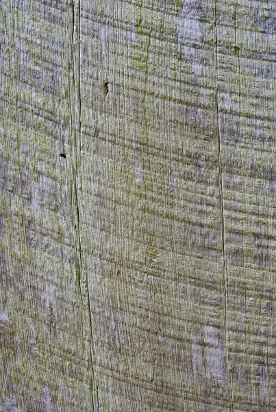 很多彩天然木材背景 — 图库照片