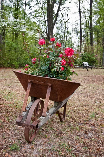 Old Rusty Wheelbarrow — Stock Photo, Image