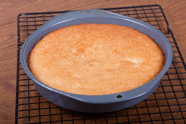 A Baked Cake — Stock Photo, Image