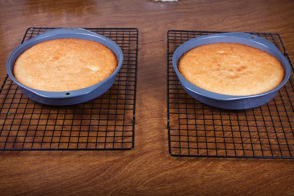 Dos pasteles recién horneados — Foto de Stock