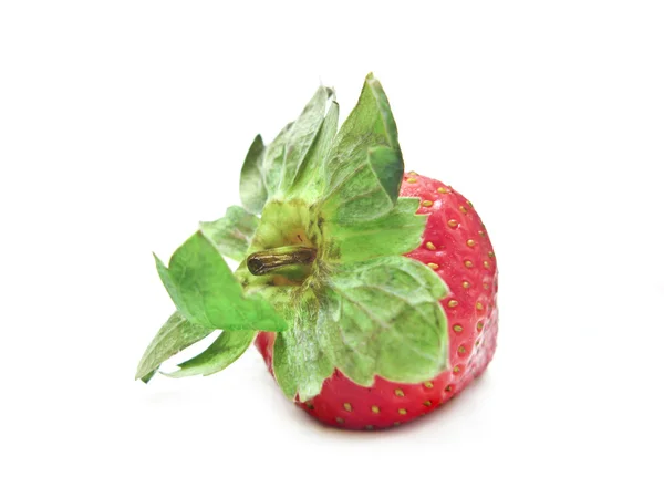 Isolated Strawberry White — Stock Photo, Image