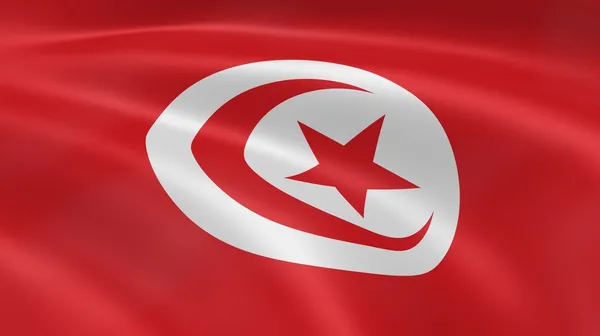 Bandeira tunisina — Fotografia de Stock
