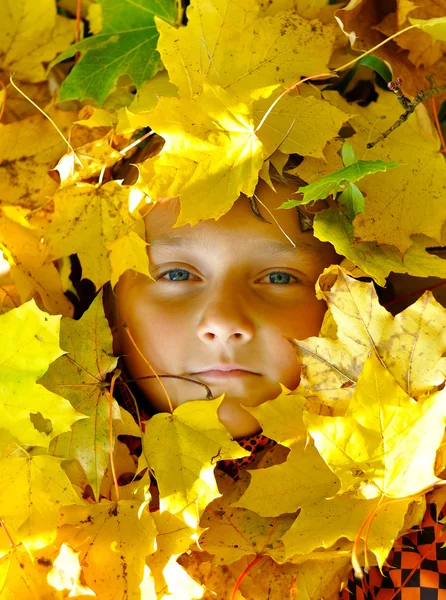 Visage de l'enfant dans les feuilles en automne Photos De Stock Libres De Droits
