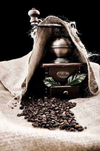Vintage coffee grinder and coffe plant in granules — Stock Photo, Image
