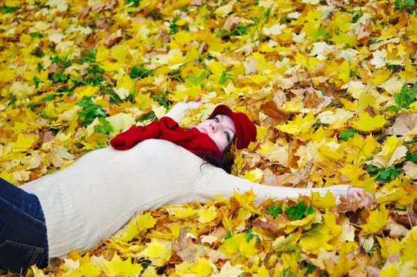 Осенняя красотка — стоковое фото