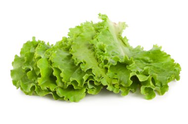 Leaves lettuce clipart