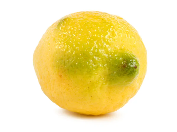Limone isolato — Foto Stock