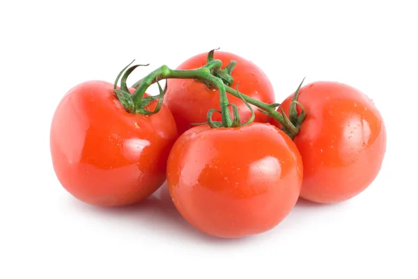 Quatro tomates maduros — Fotografia de Stock