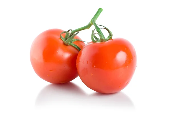 Dois tomates maduros isolados — Fotografia de Stock