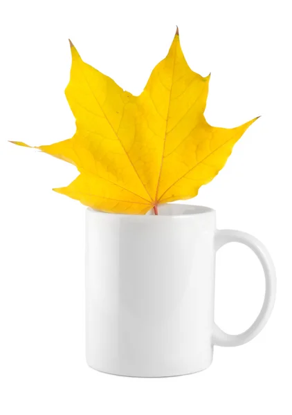 Gelbes Ahornblatt in der Tasse — Stockfoto