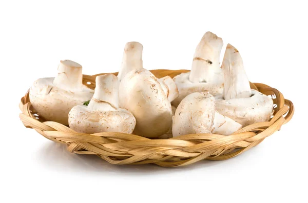 Koš s houbami — Stock fotografie