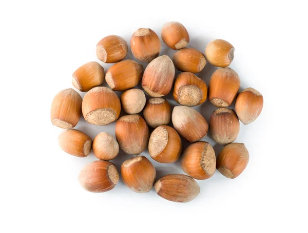 Nuts Isolated — Stock Photo, Image