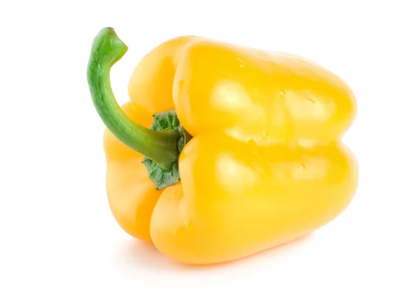Färska våta gul paprika — Stockfoto