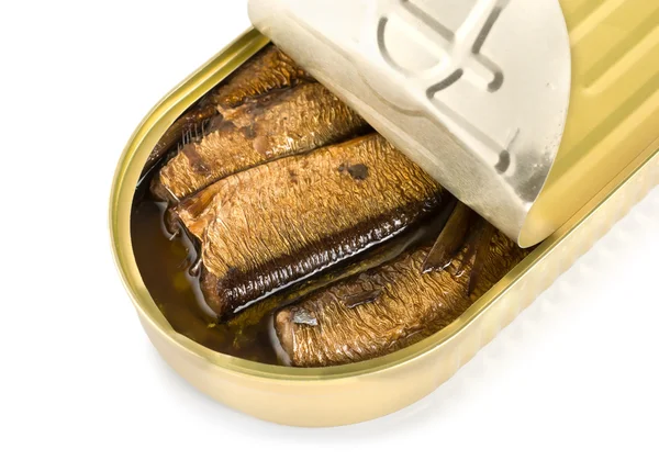 Canned sardines isolated — Stock Photo, Image