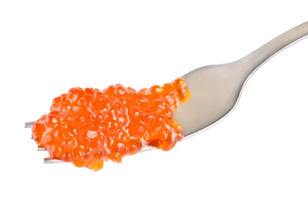 Roter Kaviar Auf Einer Gabel Isoliert Auf Weißem Hintergrund — Stockfoto
