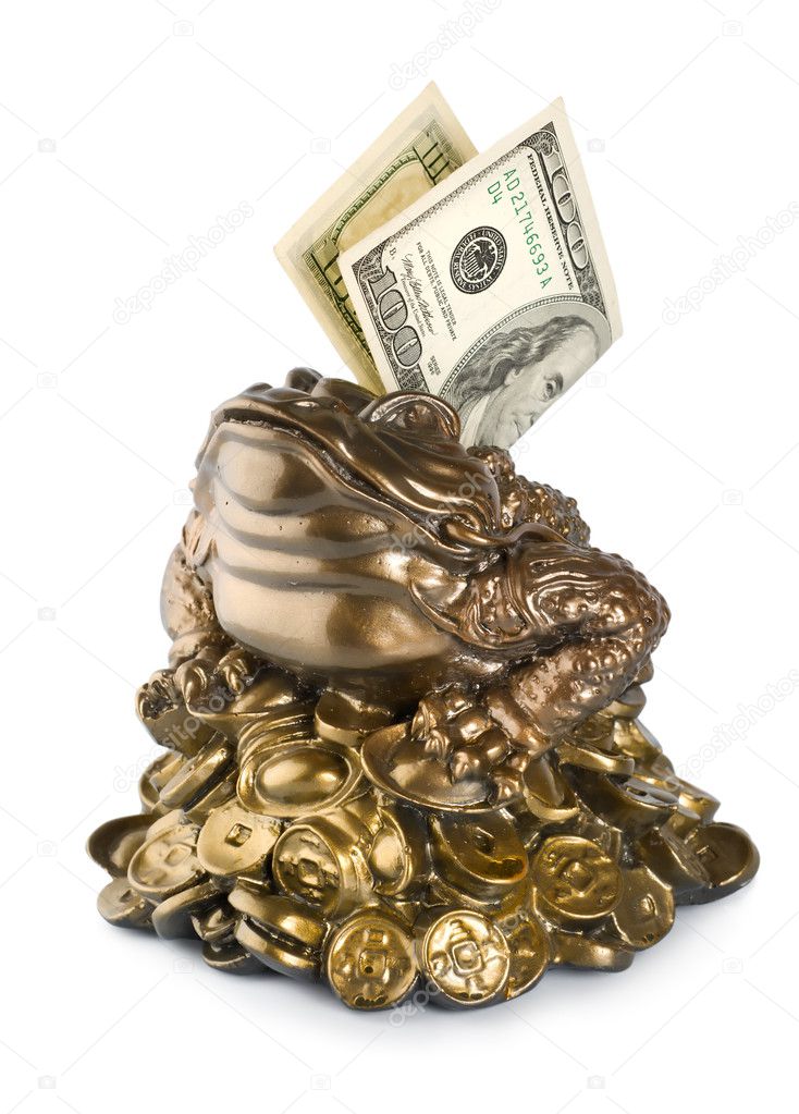 Moneybox frog isolated on a white background
