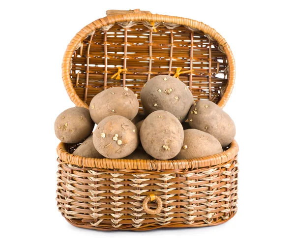 Rohe Kartoffeln Einem Korb Isoliert Auf Weißem Hintergrund — Stockfoto