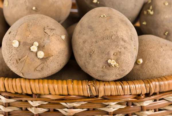 Rohe Kartoffeln Korb Aus Weidenholz — Stockfoto