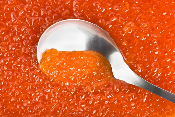 Colher Aço Inoxidável Caviar Vermelho — Fotografia de Stock