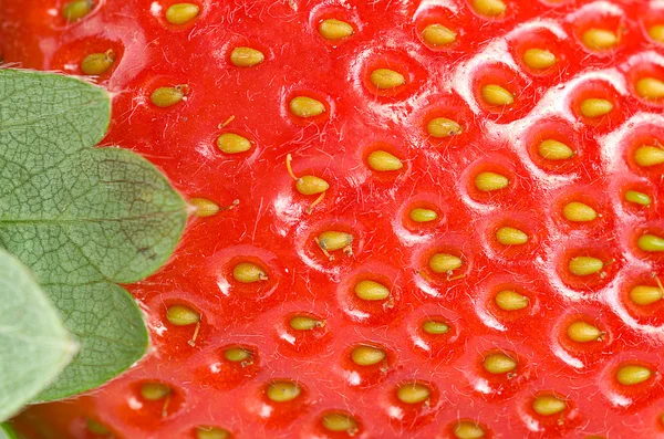 Green Leaf Juicy Strawberry Background — Stock Photo, Image