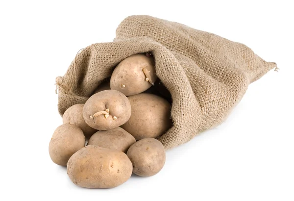 土豆在粗麻布袋 — 图库照片