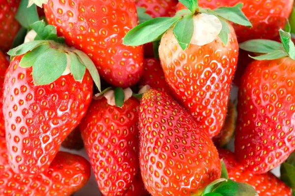 Mouthwatering strawberries — Stock Photo, Image
