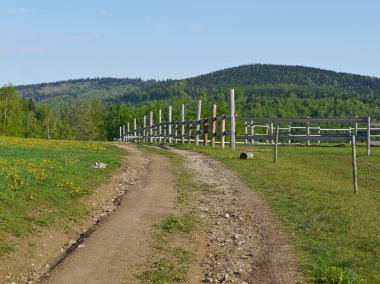 Çayır boyunca yol