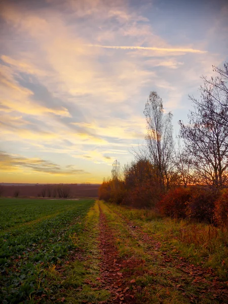 Günbatımı kırsal bir ülke — Stok fotoğraf