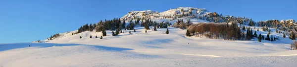 Pól śnieg — Zdjęcie stockowe