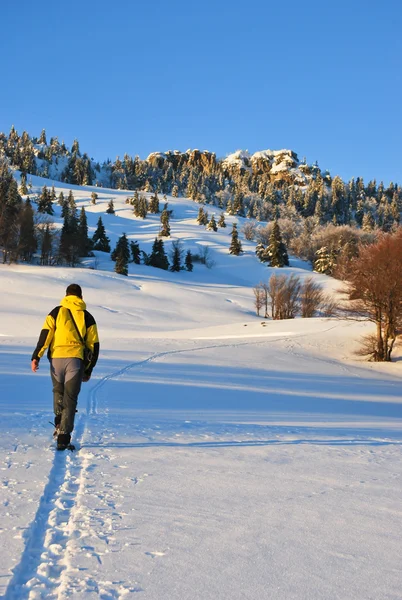 stock image Winter hiking