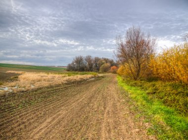 Fields and marsh clipart