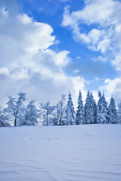 Krásná Zimní Krajina Ojíněné Stromy Modrá Obloha — Stock fotografie