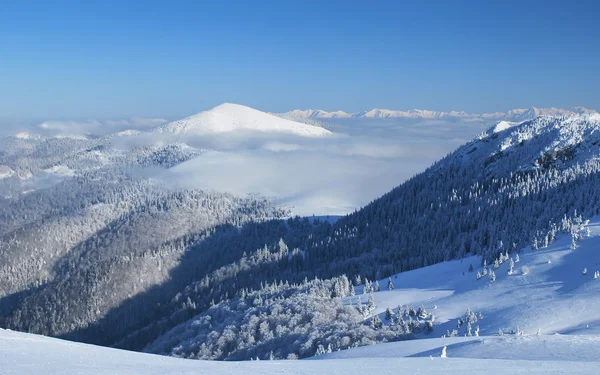 Kış Manzara Beyaz Karla Kaplı Dağ Zirveleri — Stok fotoğraf