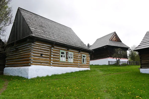 Старые Традиционные Сельские Дома Зеленом Лугу — стоковое фото
