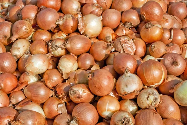 stock image Fresh onion for sale at the Sunday market