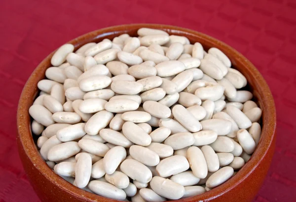 セラミック ボウルに生の白豆 — ストック写真
