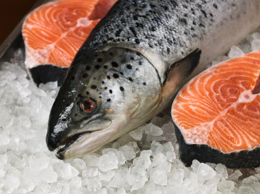 Fresh salmon clipart