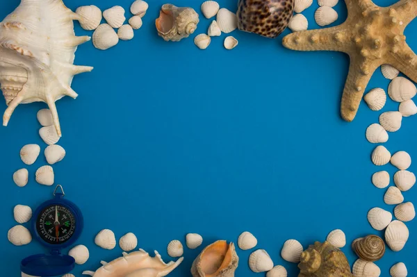 Marco de conchas marinas —  Fotos de Stock