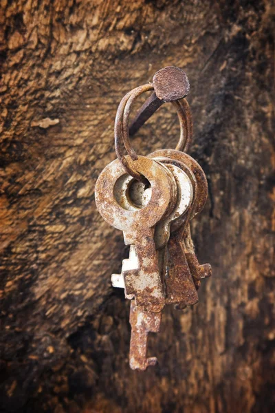 오래 된 손톱에 잊혀진된 키 — 스톡 사진