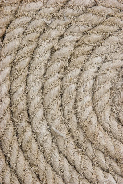 Texture des cordes — Photo