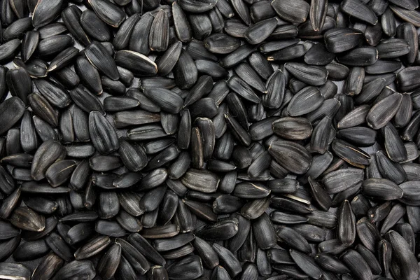 stock image Background of sunflower seeds