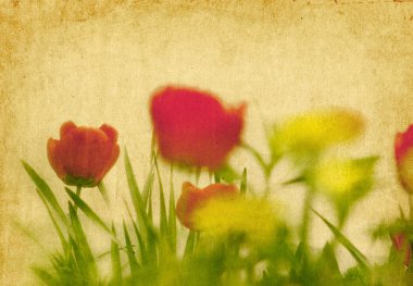Vintage background collage - vintage spring flowers clipart