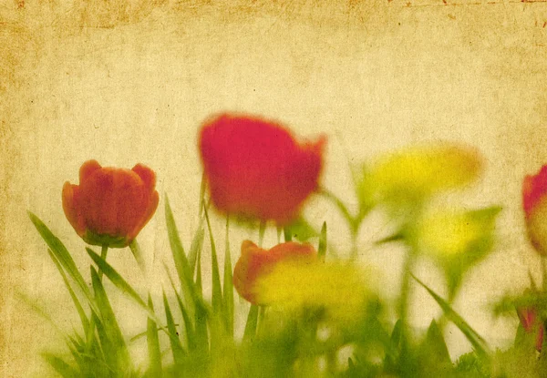 Вінтажний Фон Колаж Вінтажні Весняні Квіти — стокове фото
