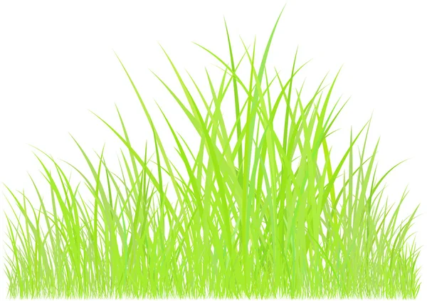 Grafik zum grünen Gras — Stockfoto