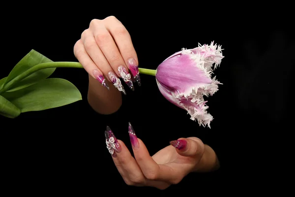 Людські пальці з довгим нігтем і красивим манікюром ізольовані на чорному — стокове фото
