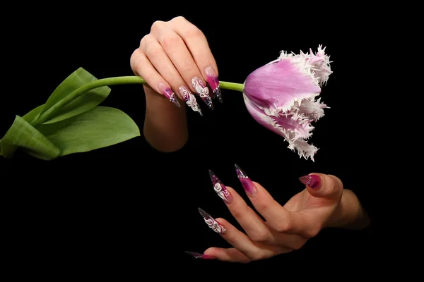 Mänskliga fingrar med lång nagel och vackra manikyr isolerade på svart — Stockfoto