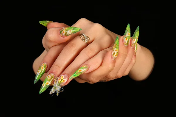 칠리 후추와 베이 리프긴 손톱과 아름 다운 매니큐어 블랙에 고립 된 인간의 손가락 — 스톡 사진